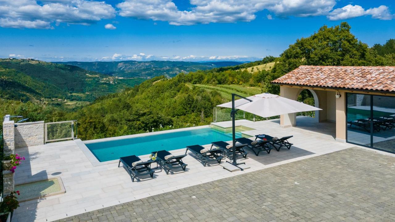 Villa Grazia - with heated salt water Pool - B&B Pazin