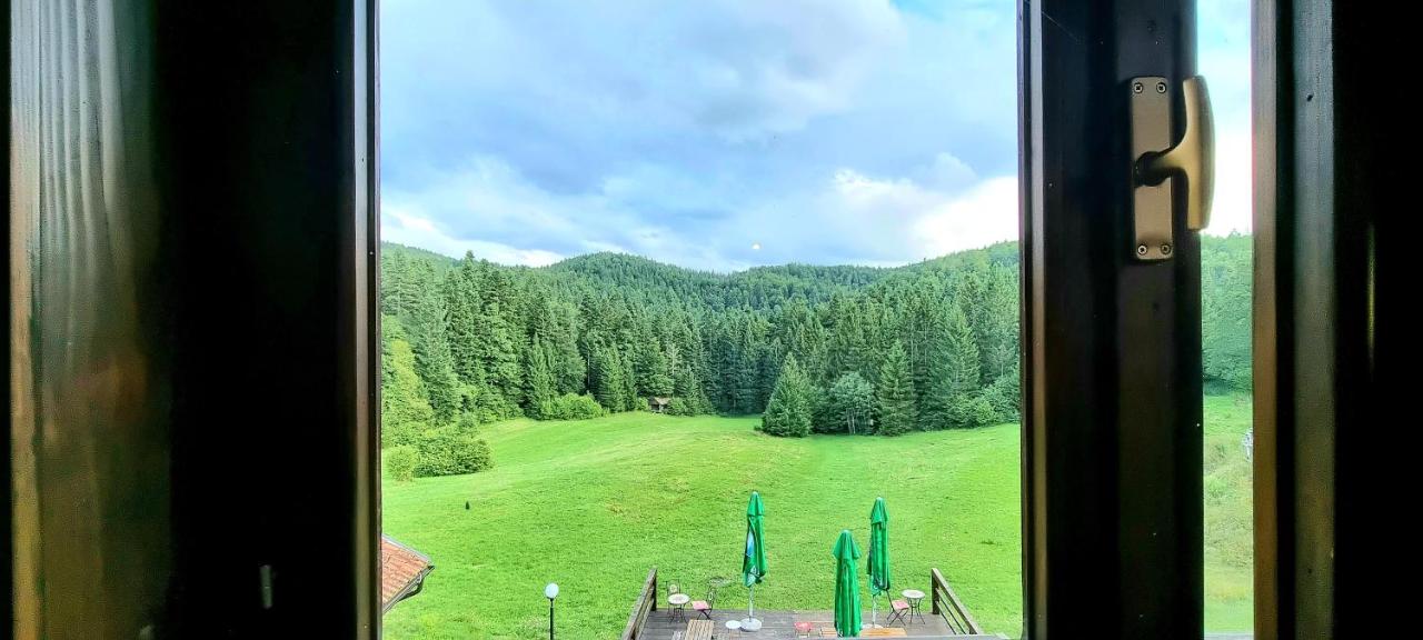 Double Room with Park View