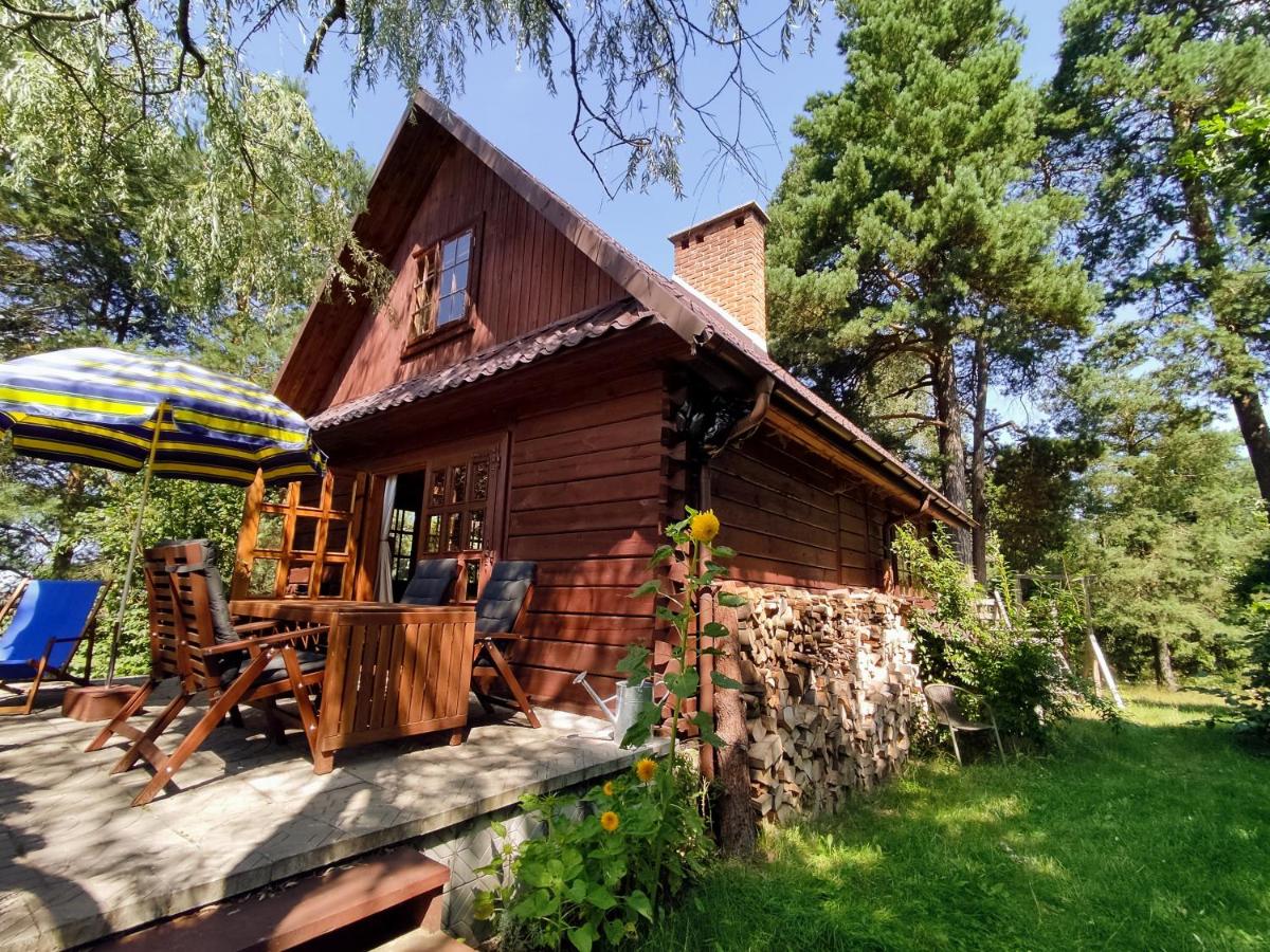 Przytulia - chata na bezdrożach Roztocza - B&B Górniki