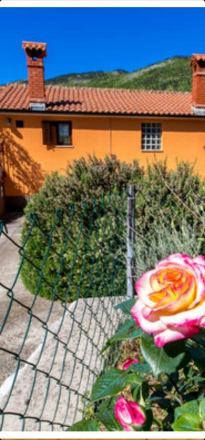 Diana Apartman - Ferienwohnung
