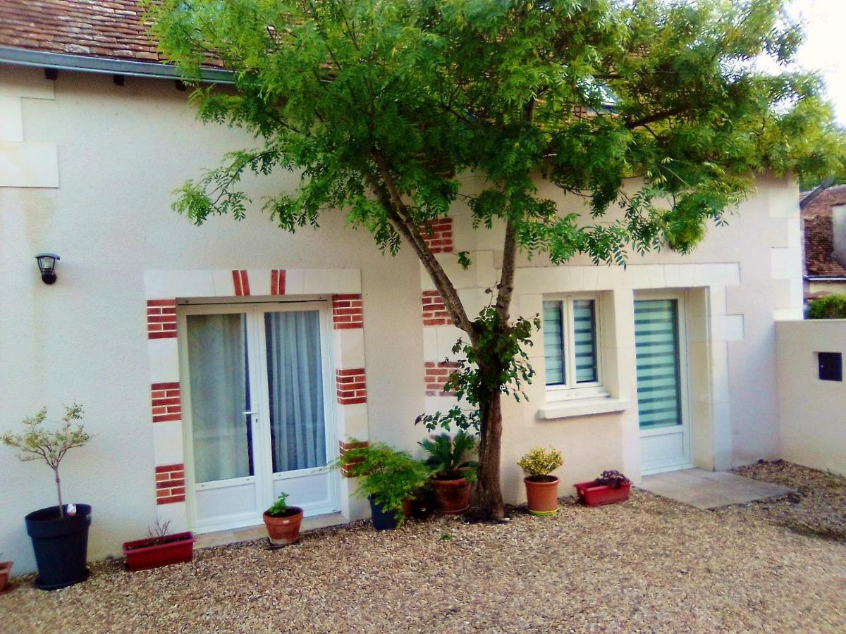 Maison accueillante avec jardin à Selles-sur-Cher - B&B