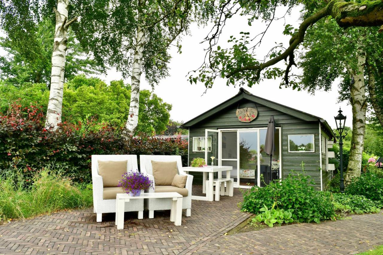 B&B Hollandscheveld - De Veldeling - Bed and Breakfast Hollandscheveld