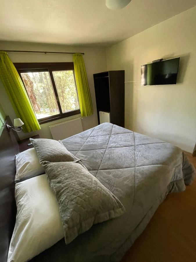 Apartment - First Floor 