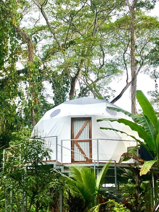 Faith Glamping Dome Costa Rica - B&B