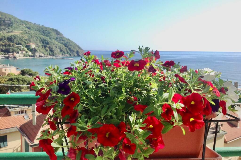 splendido appartamento vista mare - Chambres d’hôtes