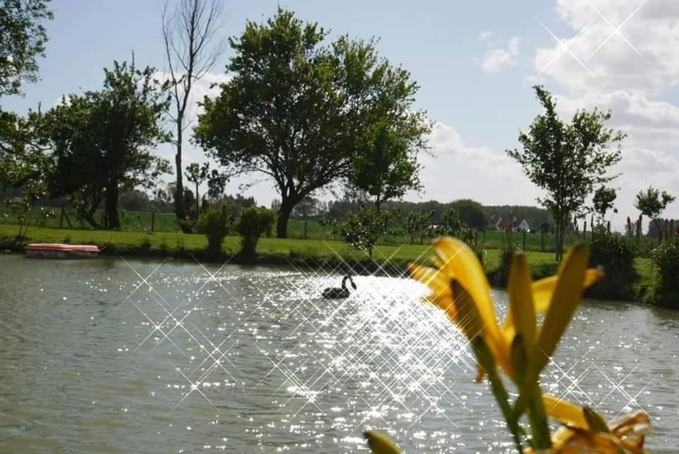 B&B Fromelles - Gite esprit loft - Bed and Breakfast Fromelles