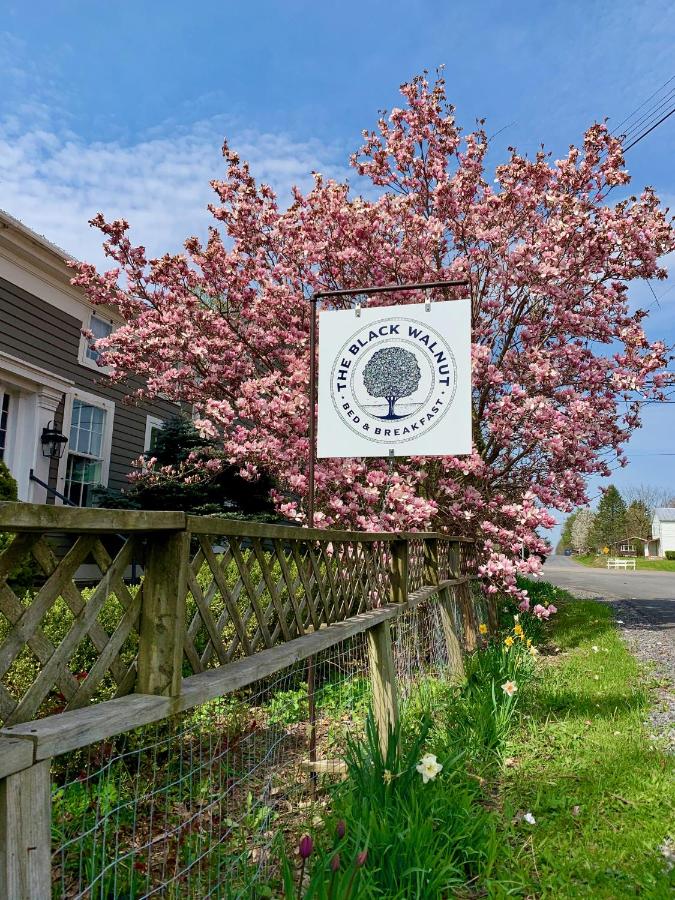 Black Walnut Bed and Breakfast - Chambres d’hôtes