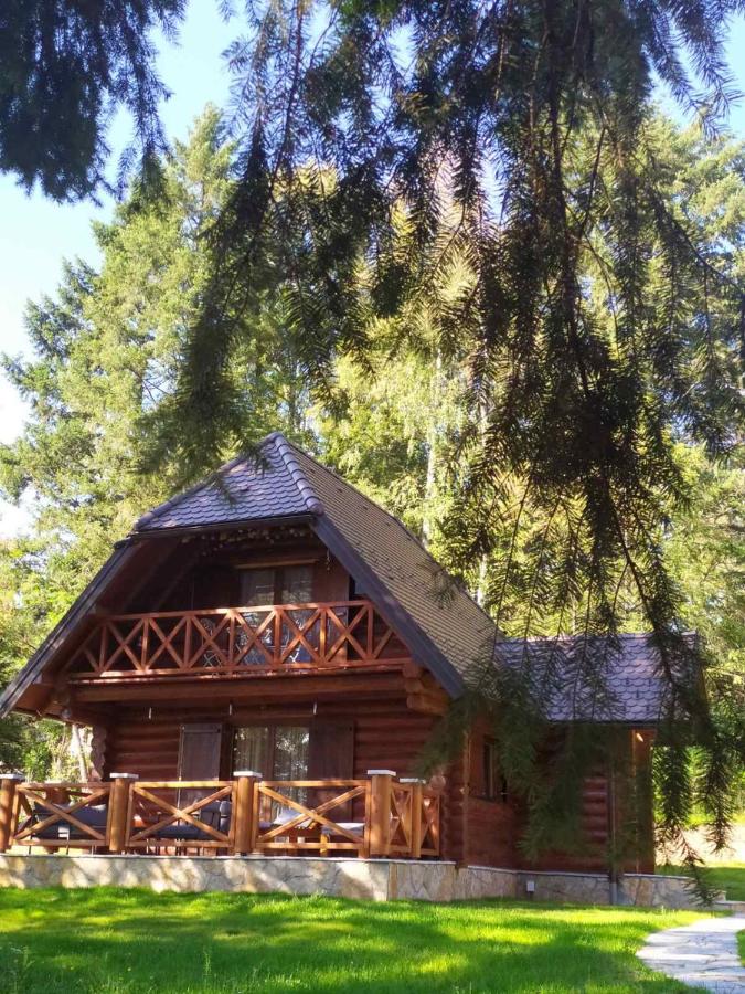 B&B Zlatibor - Zlatiborske brvnare - Bed and Breakfast Zlatibor