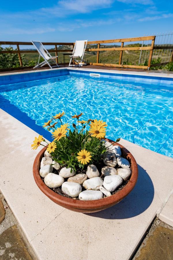 Domus Mare Cilento - B&B Agropoli