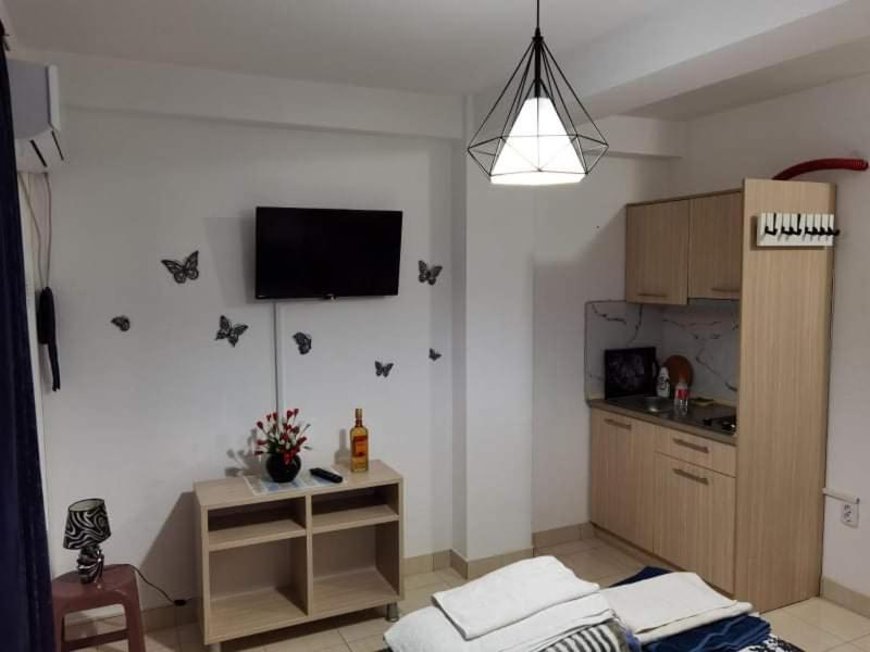 Appartamento con 1 Camera da Letto