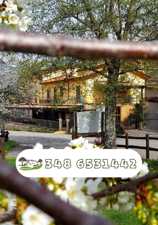 B&B Mormanno - Agriturismo Aria Fina - Bed and Breakfast Mormanno