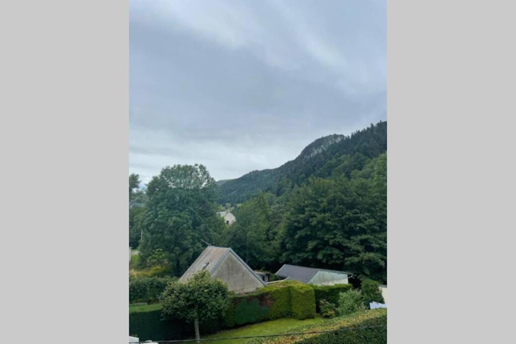 Les oiseaux T2 - B&B