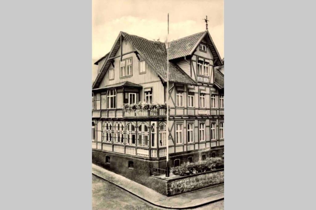 TraumFeWo Palais #Innenstadt #Garten #Netflix von Harztraveler - B&B
