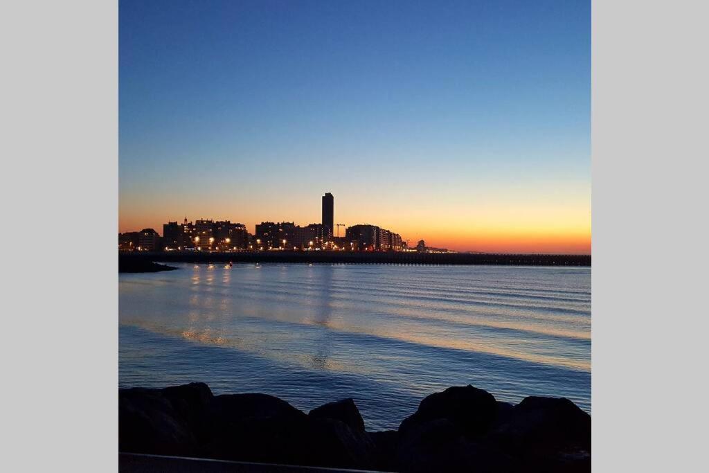 New sunny apartment with 2 large terraces - B&B Ostende