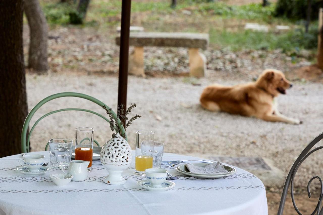 Petra - Country House - Bed and Breakfast