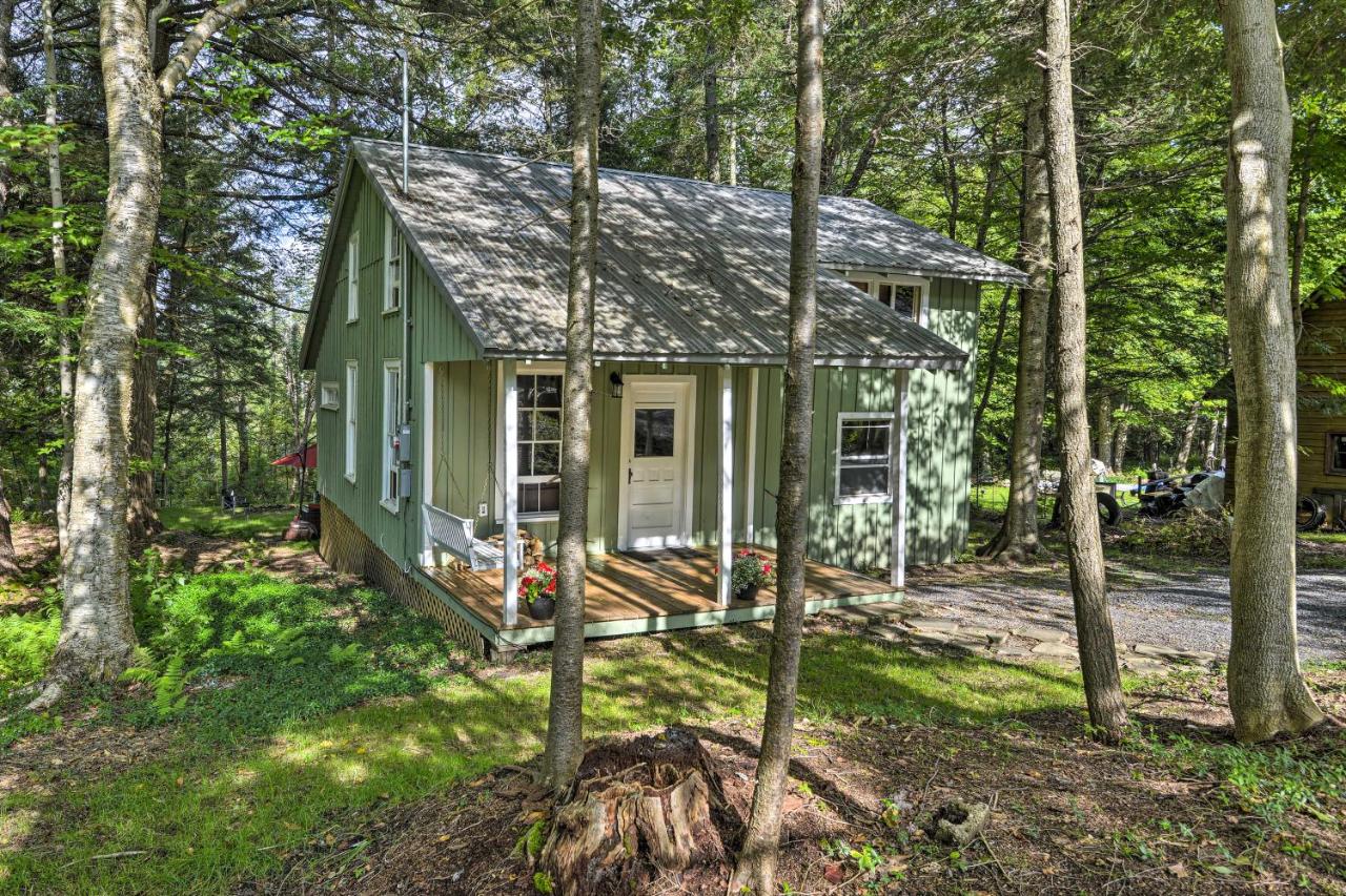 Adirondacks Cabin with Fire Pit on Otter Lake! - B&B
