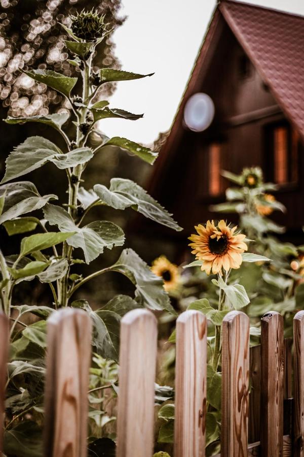 Kaszubski Dom Podcieniowy Bohema - B&B