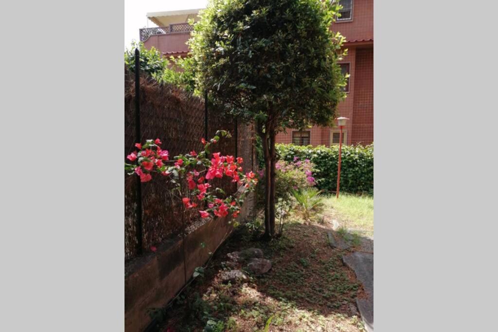 La casa della mia famiglia - Bed and Breakfast