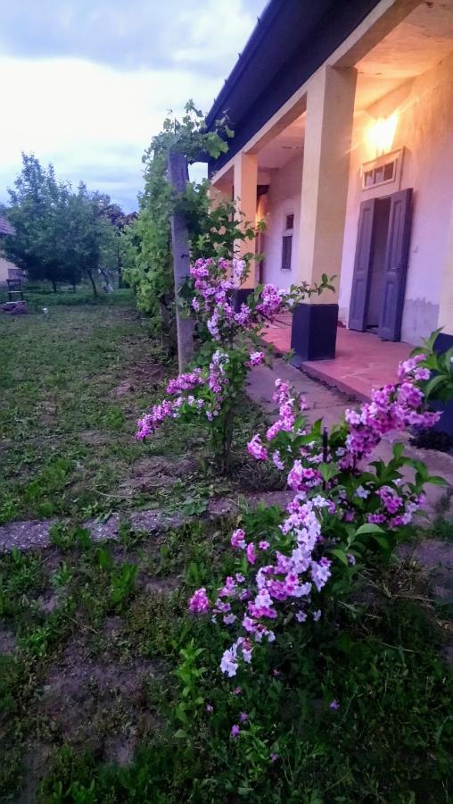 Szelíd Tisza Vályog Vendégház Tiszafüred - B&B