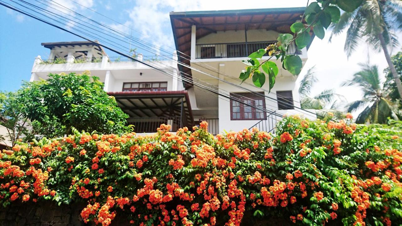 Freedom Lodge, Kandy - B&B
