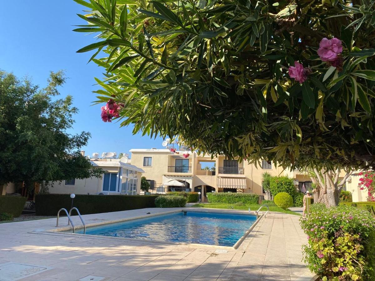 B&B Pafos - Seaside Private garden terrace BBQ and pool - Bed and Breakfast Pafos