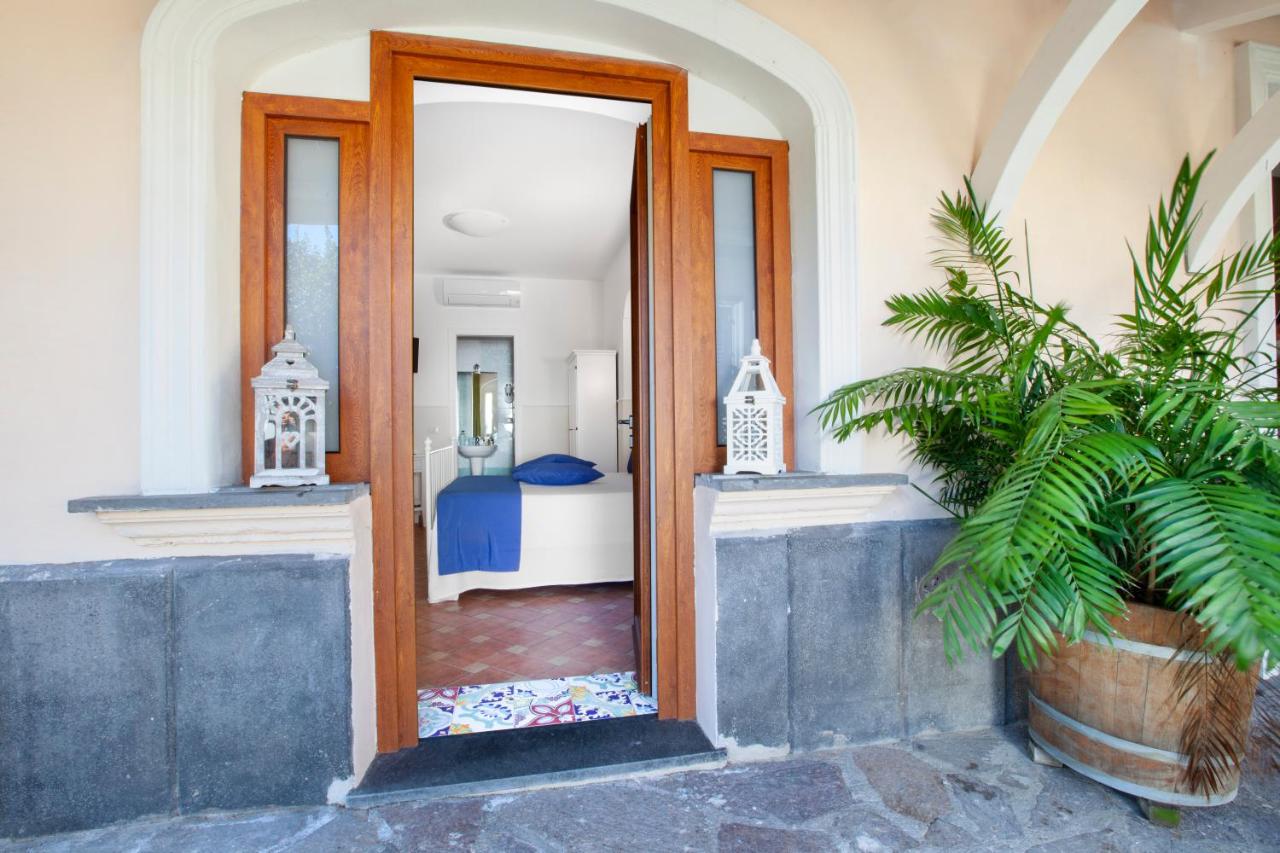 CASA SORRENTO, immerso nel verde a pochi passi dal centro - B&B Sorrento