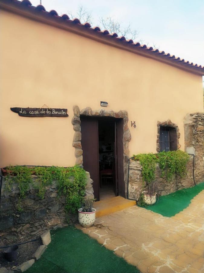 La casa de los Bonales - B&B