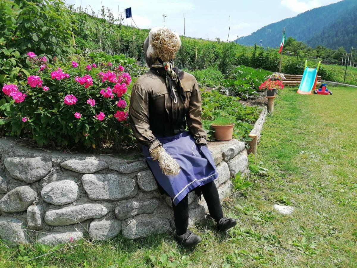 Ca' dei Martinei - Ferienwohnung Vermiglio