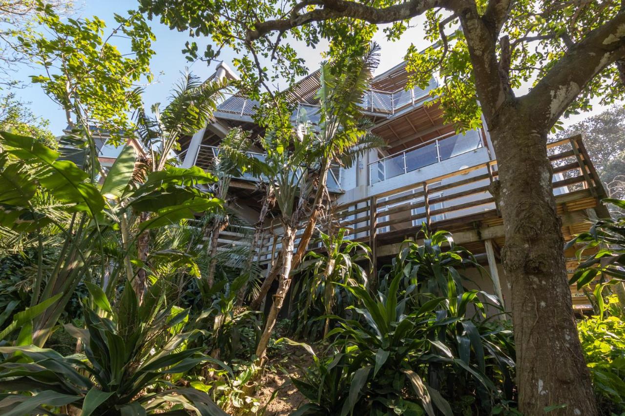 Dolphin View - Chambres d’hôtes Zinkwazi Beach