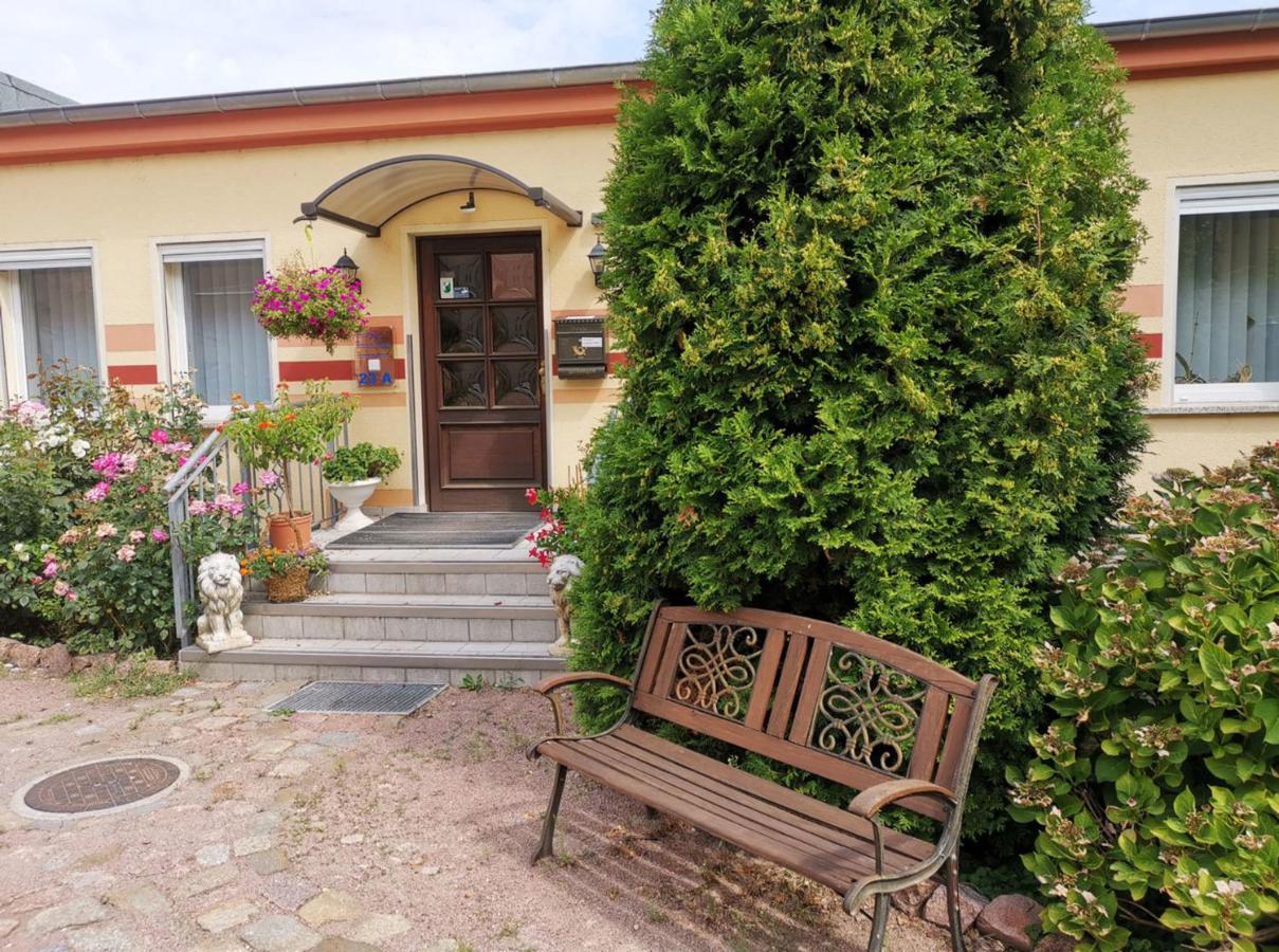 B&B Meißen - Gästezimmer- und Ferienzimmer Am Gewölbekeller Meißen - Bed and Breakfast Meißen