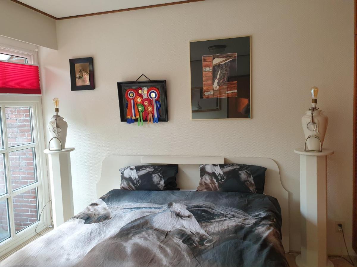 Westert Hoeve - Ferienwohnung Vriescheloo