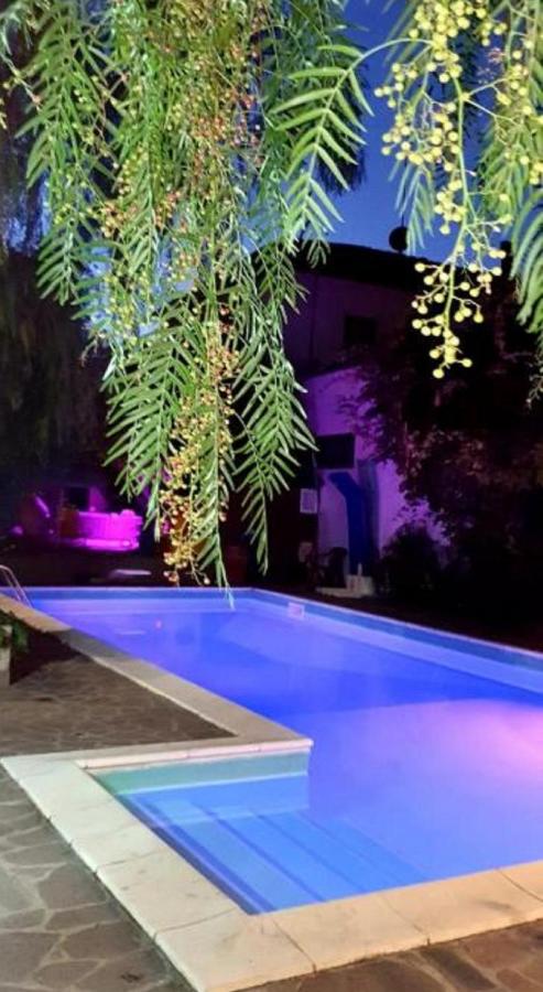 B&B Il Sognatore - B&B