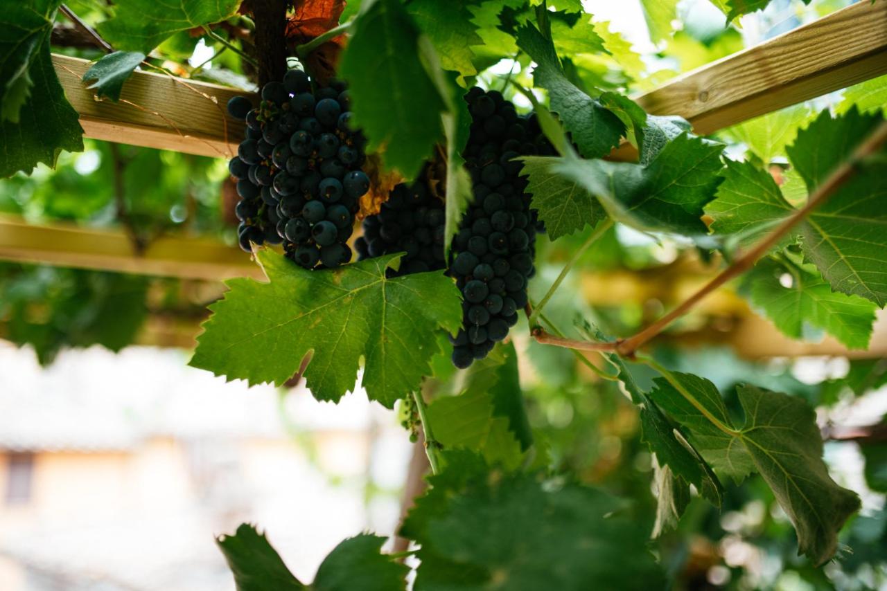 Umbrian Concierge - La Casa dei Pellari - Bed and Breakfast