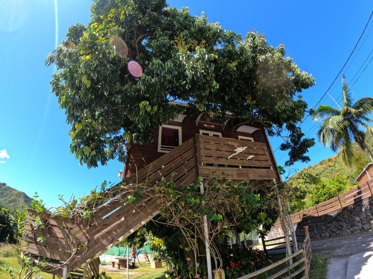 ti kaz perchée - B&B Entre-Deux