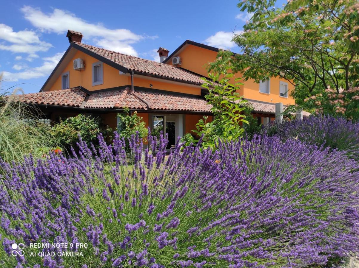 B&B Koper - Apartma Lavanda - Bed and Breakfast Koper