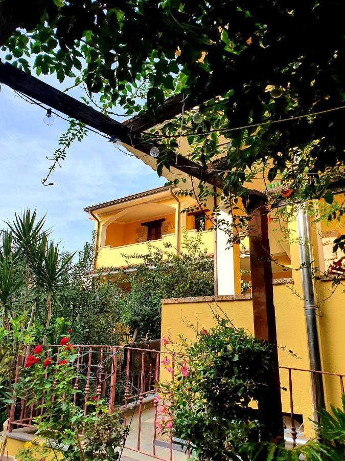 B&B Palmas Arborea - Camere Sinis Isprocilis - Bed and Breakfast Palmas Arborea