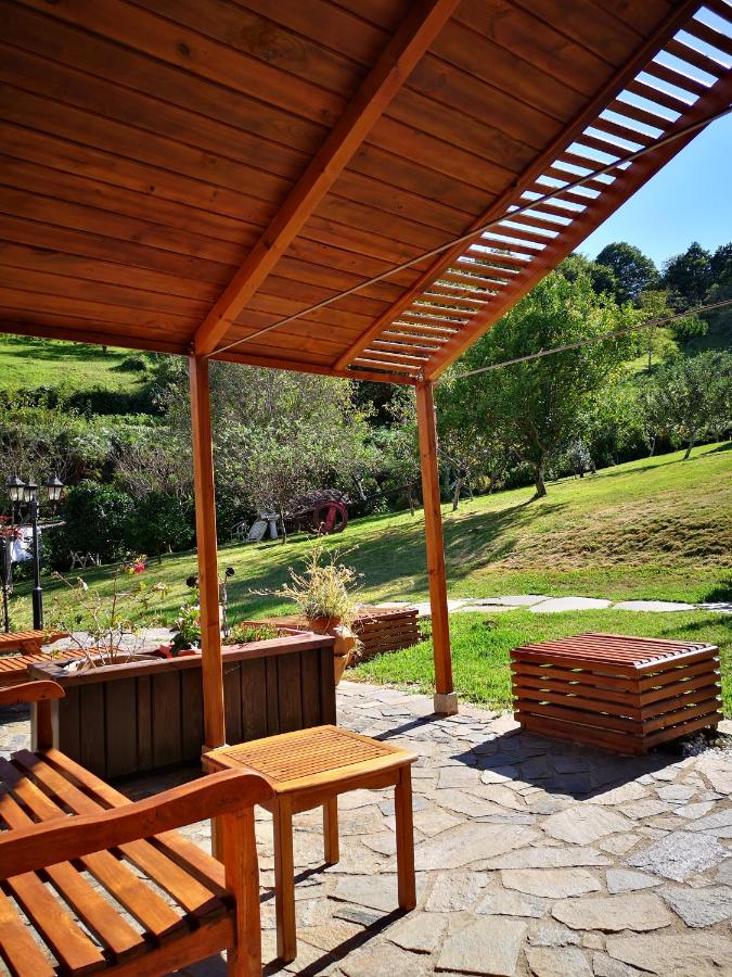 Suite with Terrace