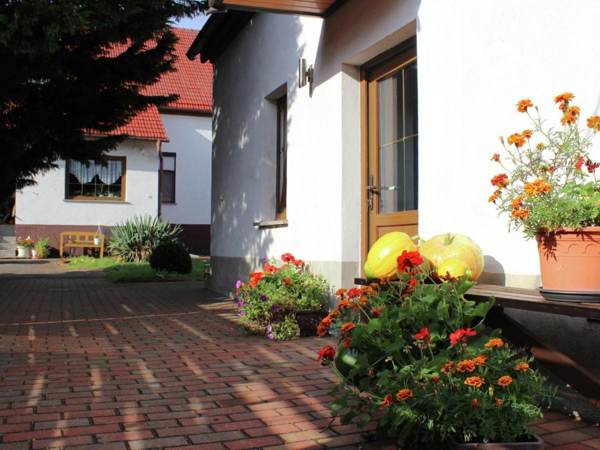 B&B Schenkendöbern - Ferienhaus Christine - Bed and Breakfast Schenkendöbern