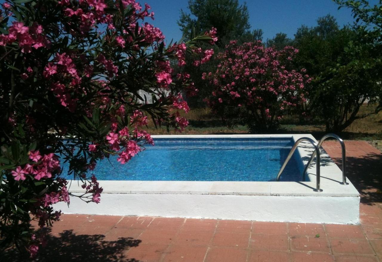 B&B Marchena - Villa Los Pinos - Bed and Breakfast Marchena