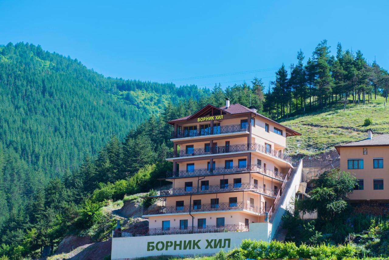 Борник Хил / Bornik Hill - B&B