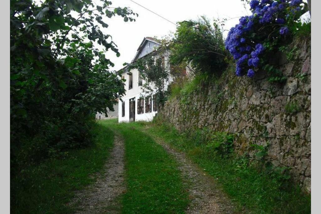 Doğa İle İç İçe Harika Bir Tatil - B&B