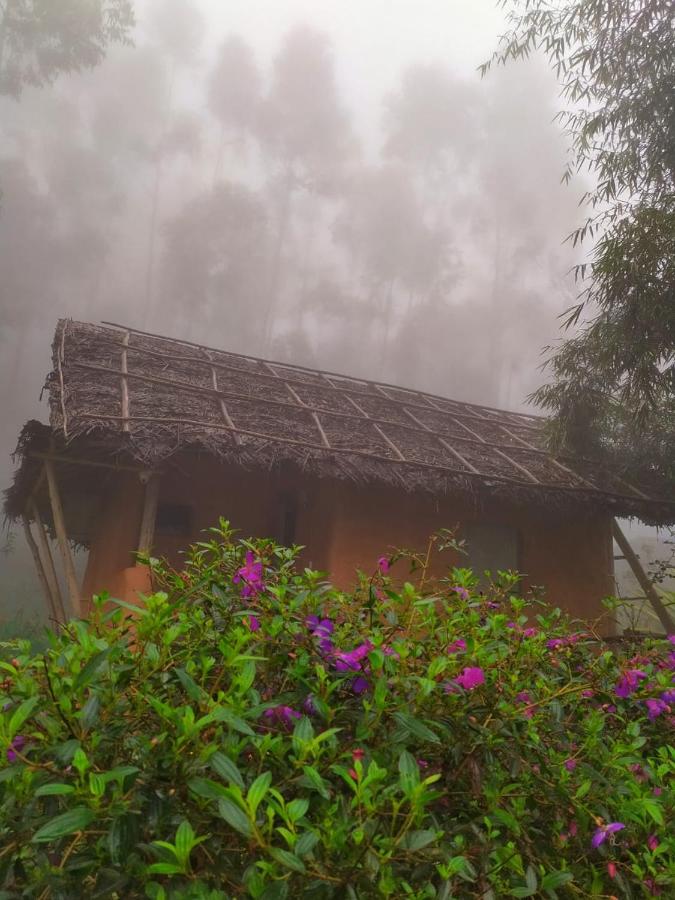 Mud House