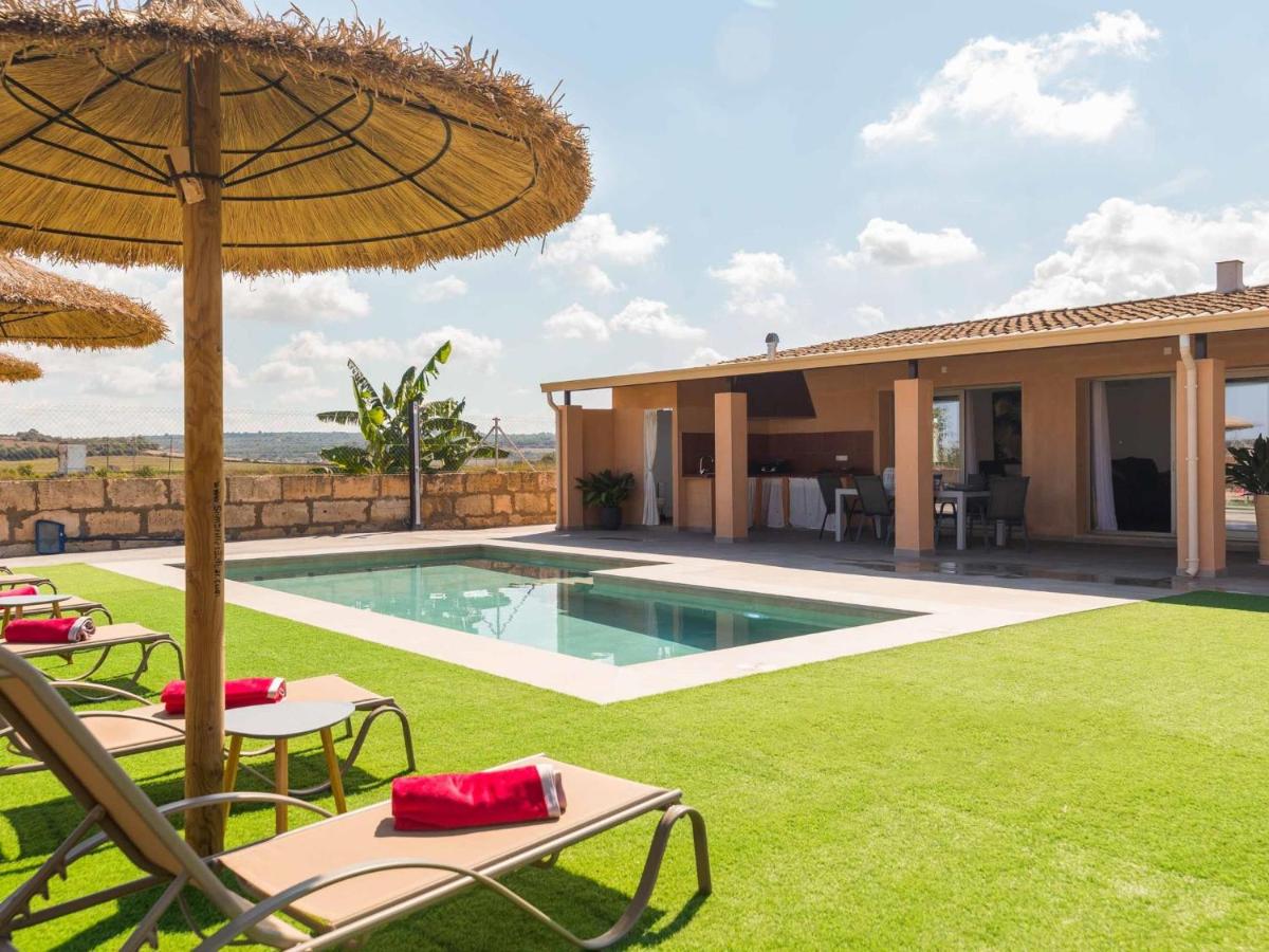 Son guineu - B&B Ariany