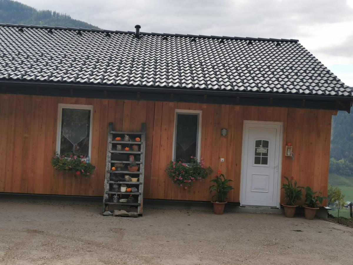 Gemütliches Häuschen "Bergblick Hollnhof" lädt zum verweilen ein - B&B Donnersbach