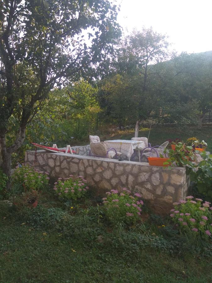 APARTMAN U BUKOVICKOJ BANJI ARANDJELOVAC - B&B