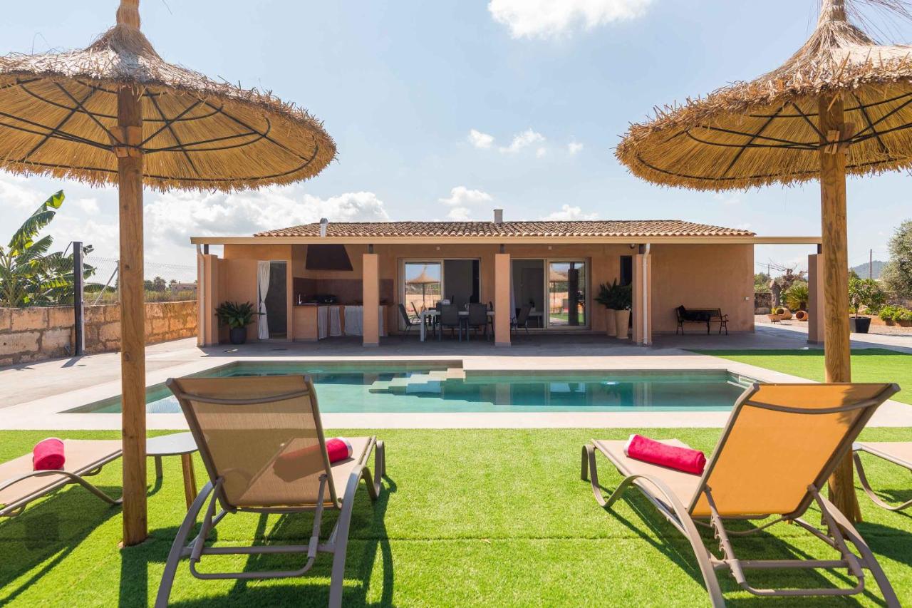 Son guineu - B&B Ariany