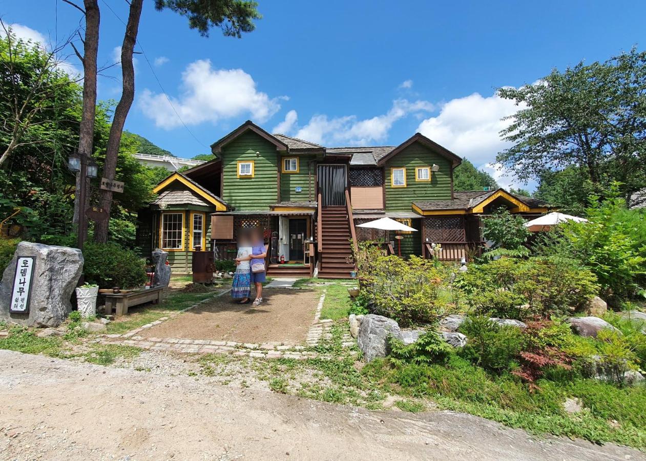Mayfair Rodemtree Pension - Ferienwohnung Pyeongchang
