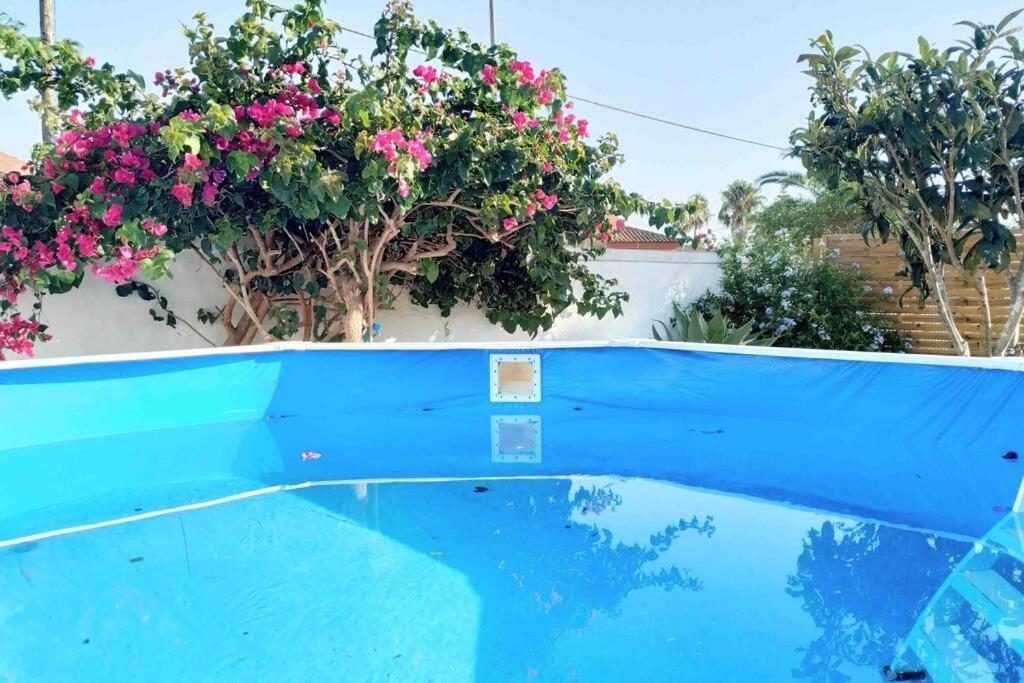Apartamento privado con jardin, piscina elevada y bbq - B&B
