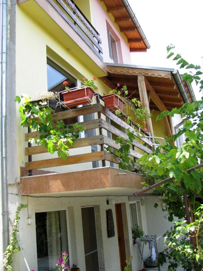 Family Guest House - 10 km from Veliko Tarnovo - Chambres d'hôtes Samovodene