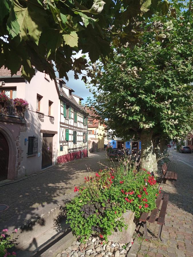 Gites Aux Fines Bulles d'Alsace SPA privatif en supplément - Ferienwohnung